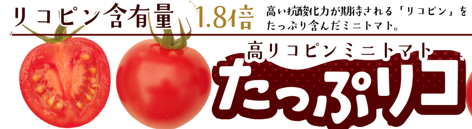 高リコピンミニトマト たっぷリコ あさい農園オンラインショップ